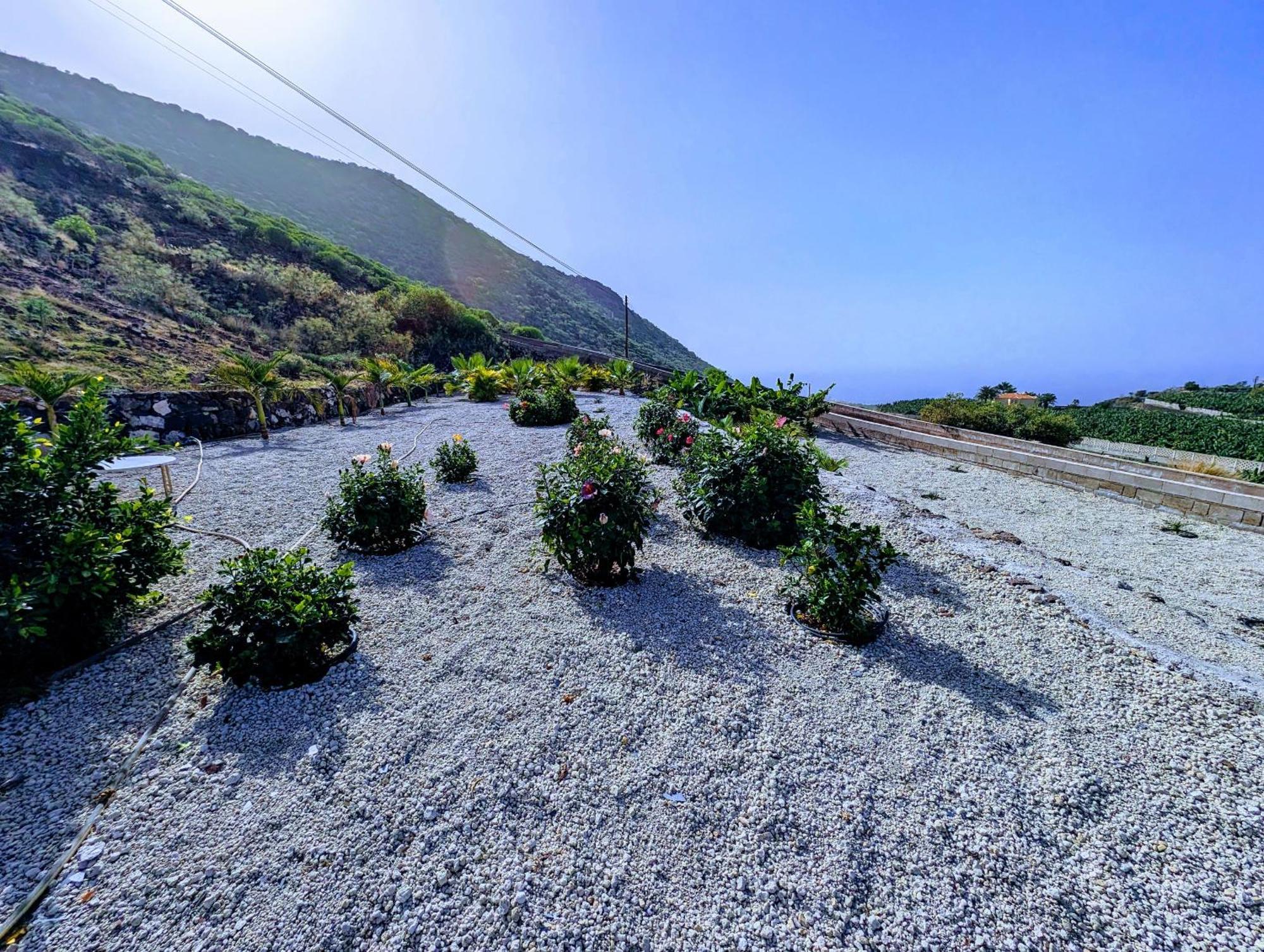 Sea La Vie Apartment - Adults Only Santiago Del Teide Bagian luar foto
